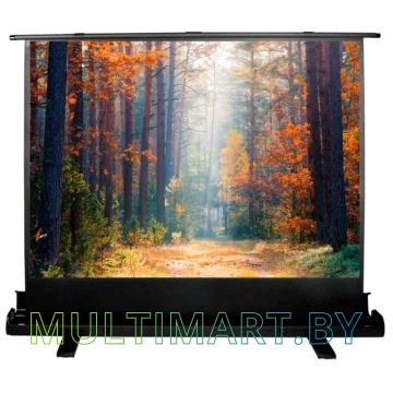 Проекционный экран CACTUS FloorExpert 135x180 (CS-PSFLE-180X135)
